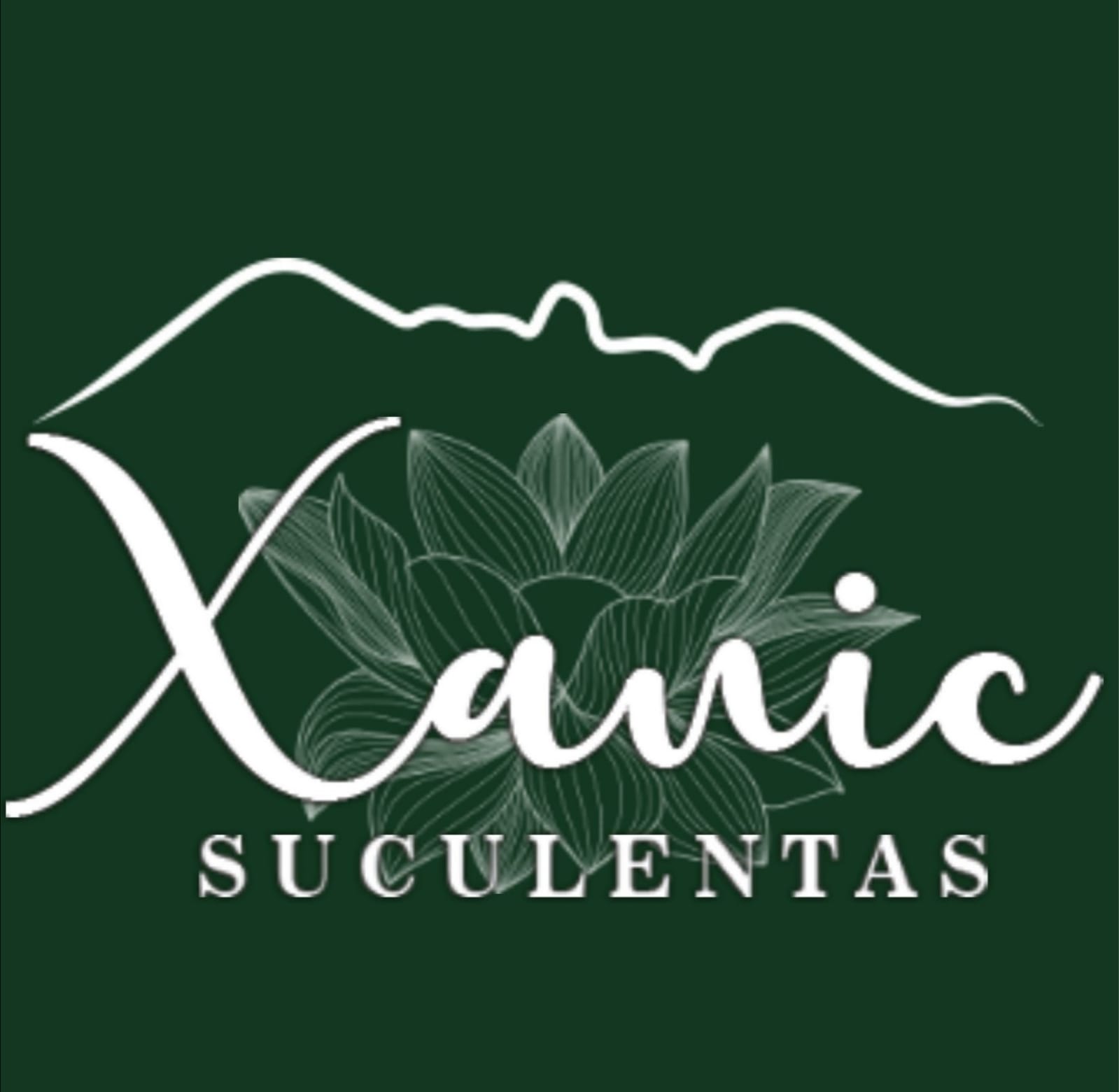 Suculentas Xanic