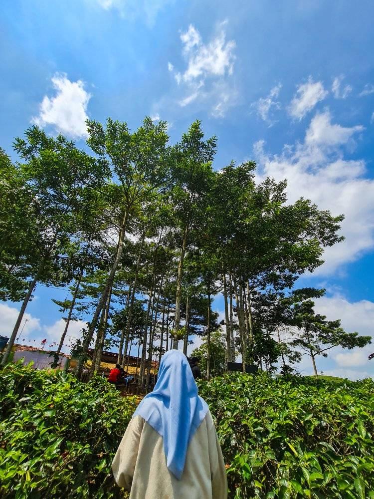 Jangan tanya soal NASIONALISME ke mreka🥹,,sejauh ini mreka membela ...