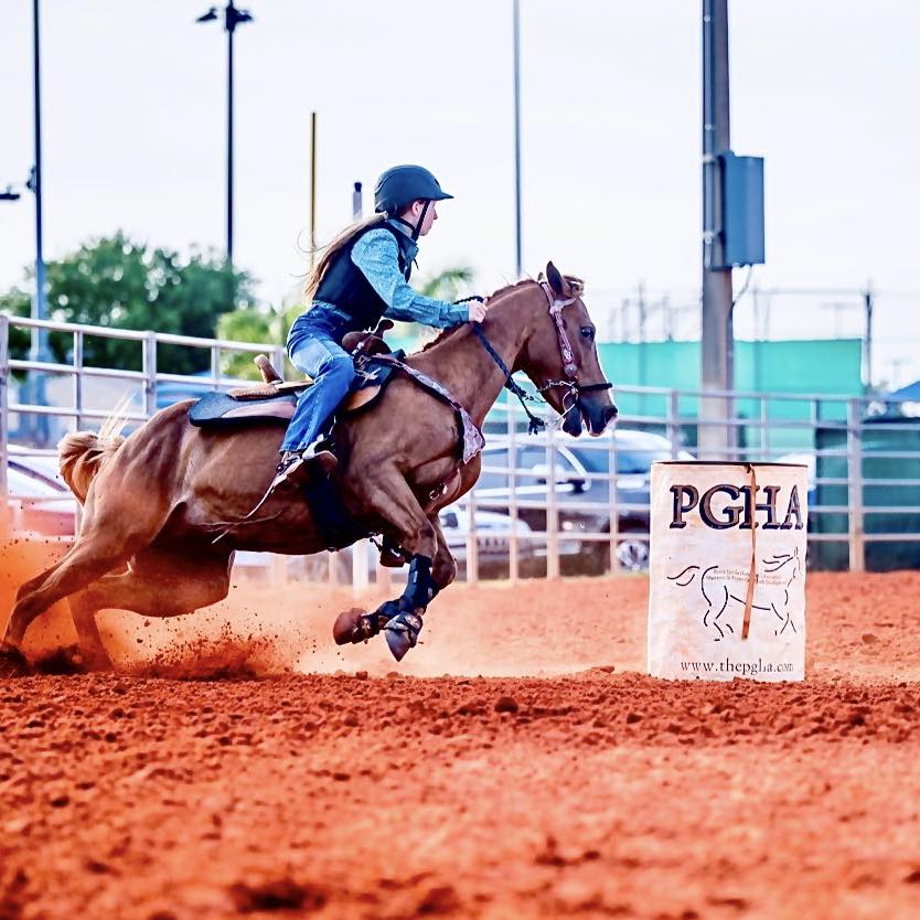 Official - The countdown to the 2026 NBHA Youth & Teen World ...