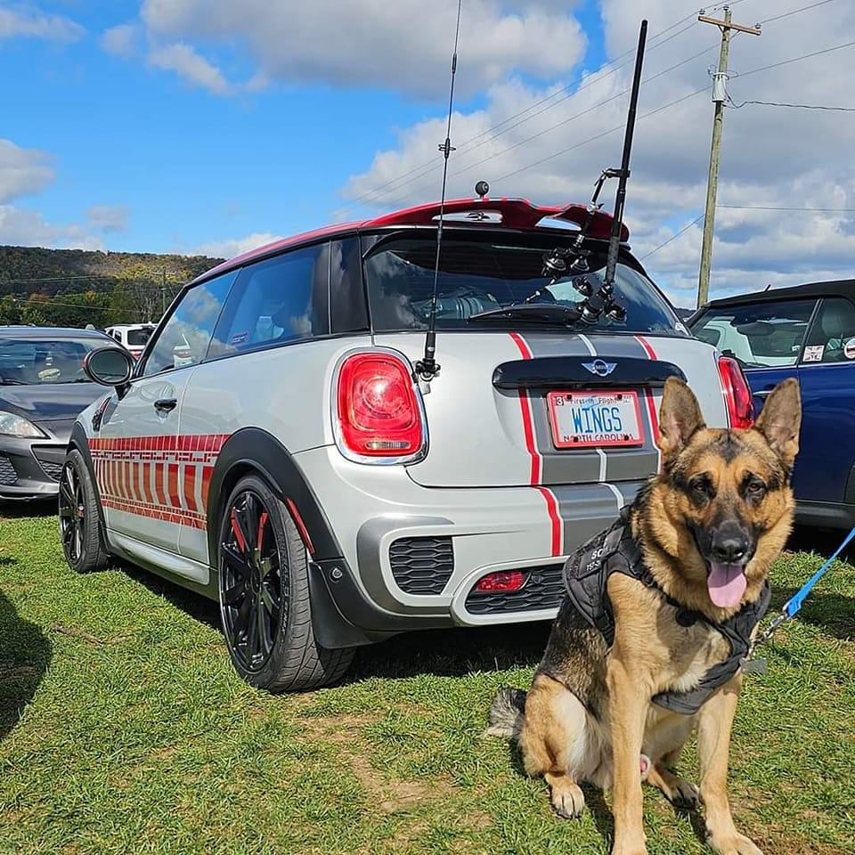 Genuine MINI R53 Owners Group | So I own an anomaly | Facebook