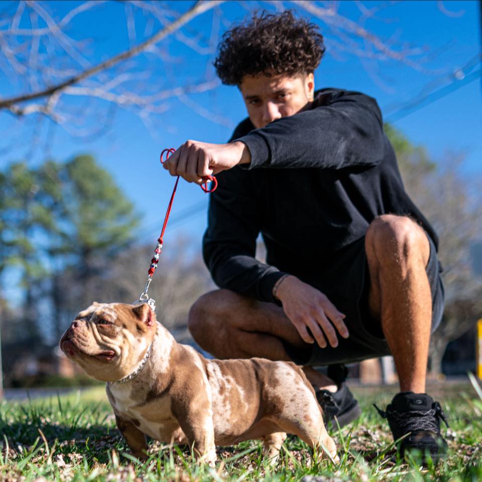 Carter Levon - Simba could be yours!🤩 This boy is beyond... | Facebook