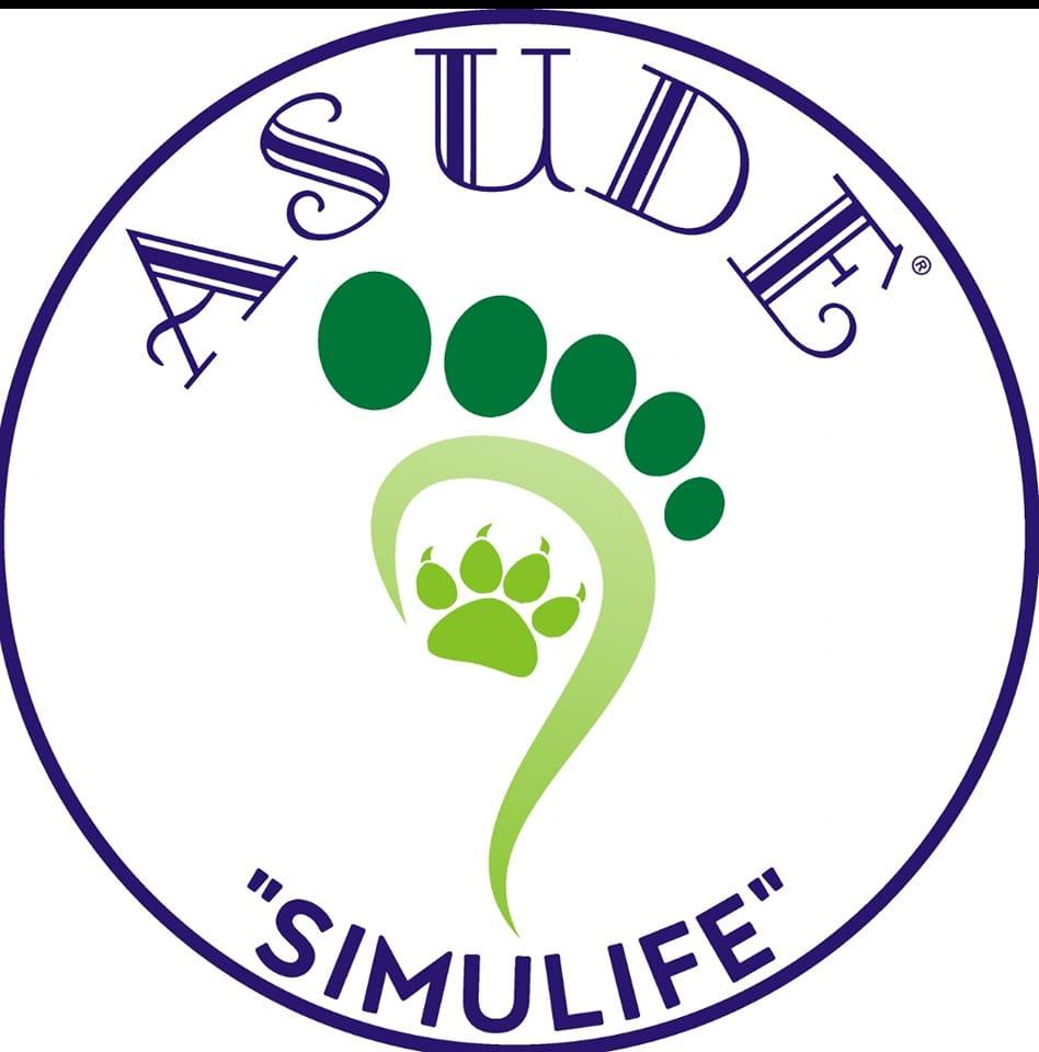 Asude Simulife - ASUDE Simulife a game based learning... | Facebook