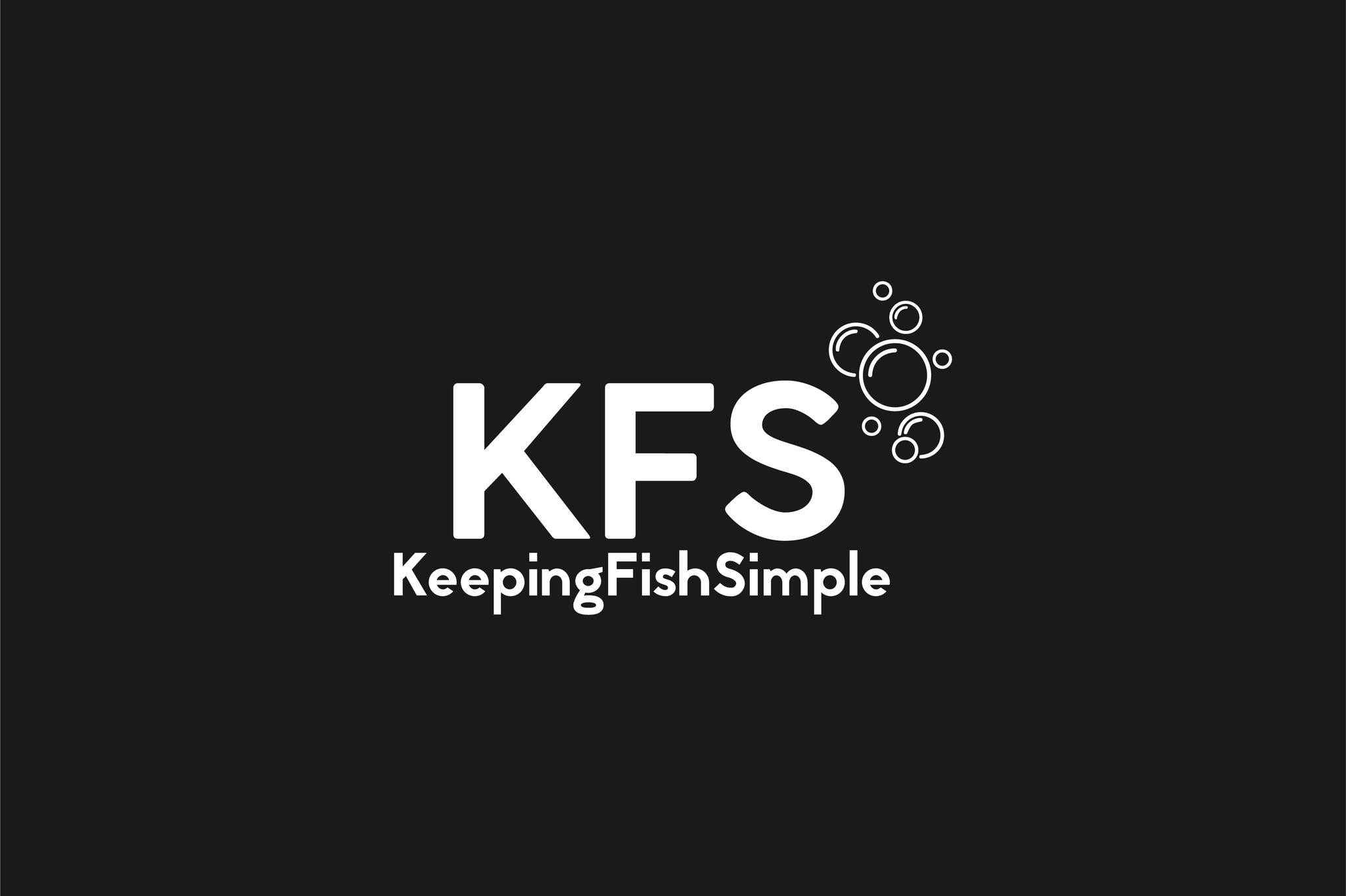 Keeping Fish Simple | Brisbane QLD