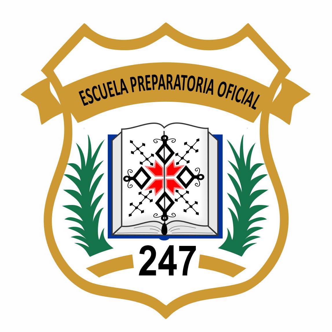 Preparatoria Oficial NÚM. 247