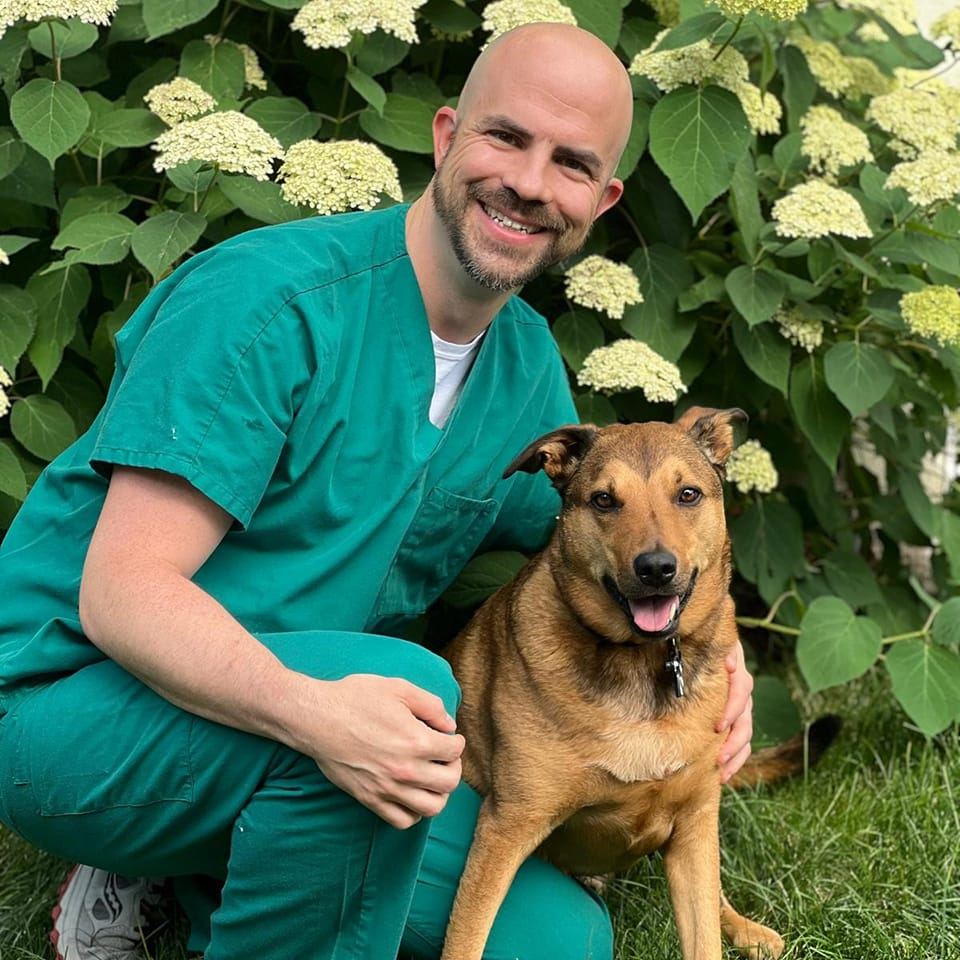 Travis P. Reed, DVM, Board-Certified Veterinary Surgeon