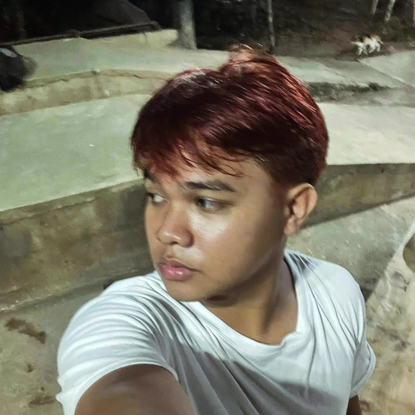 Francis Albiso