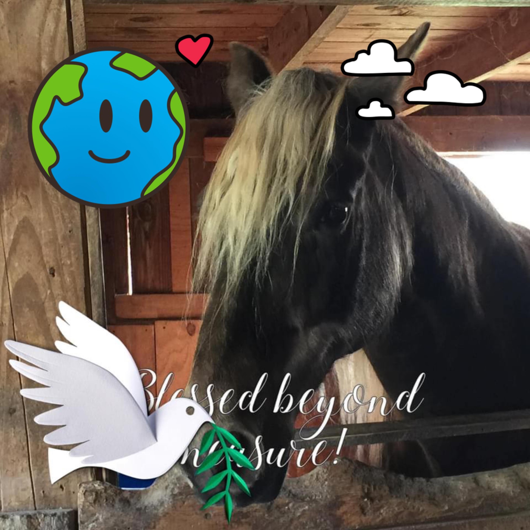 So God made a horse. | Luke Reinbold Horsemanship LLC