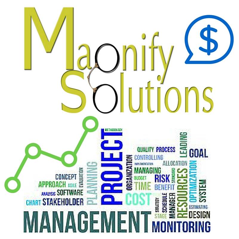 Magnify Solutions | Austin TX