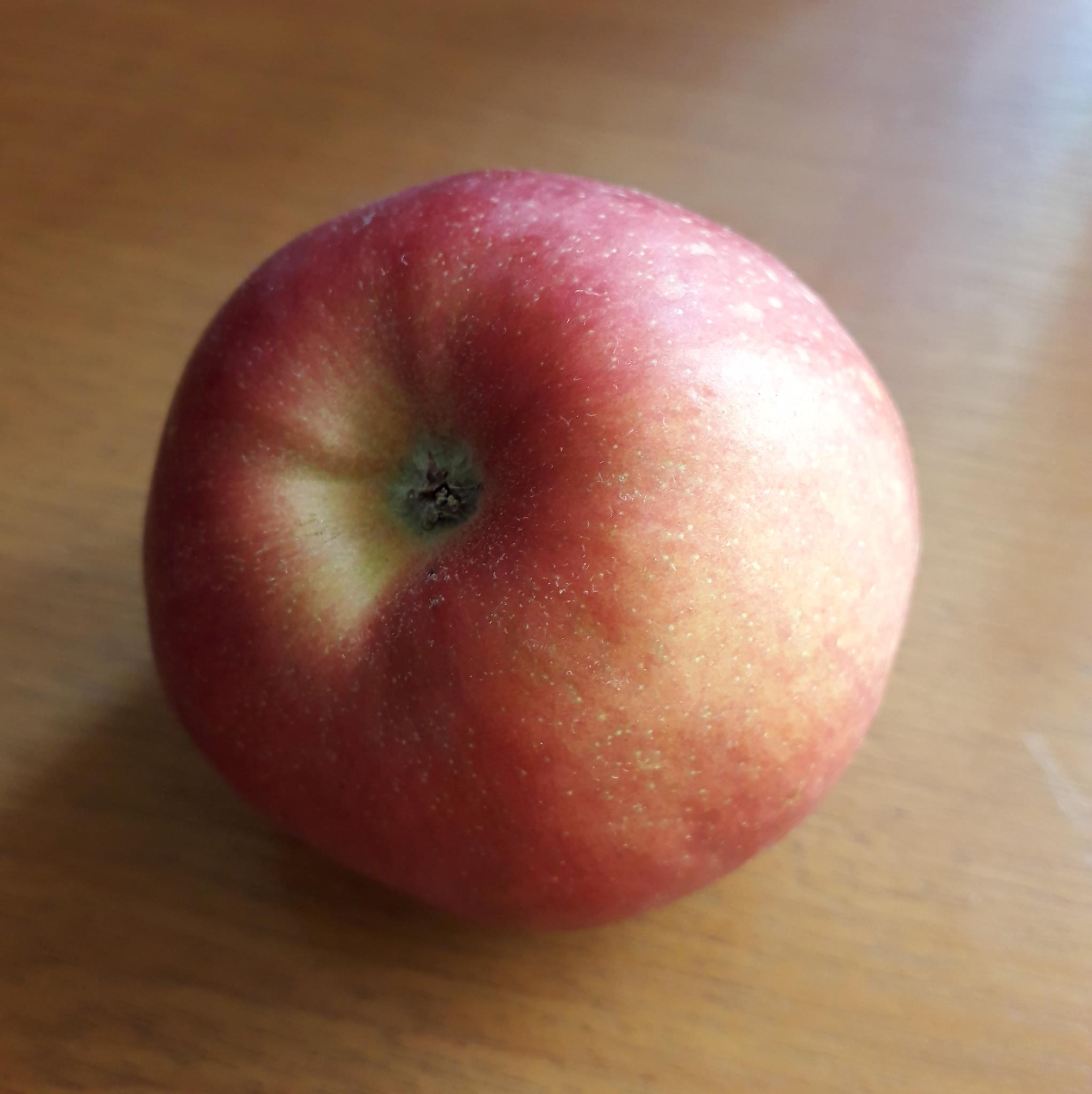 vasy-oco-on-reels