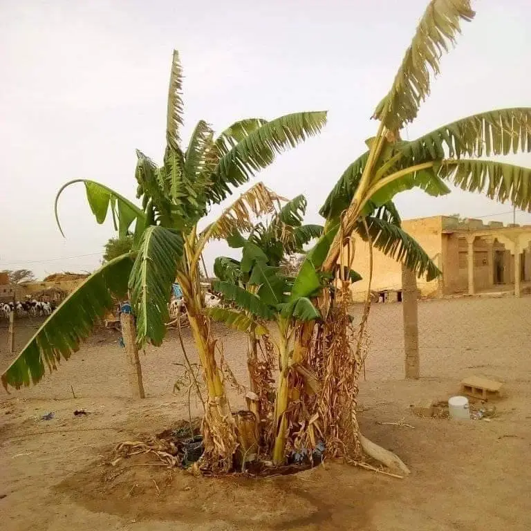 Cadre verre #maman #senegal #dakar 777267073 | Ma So Kr'art