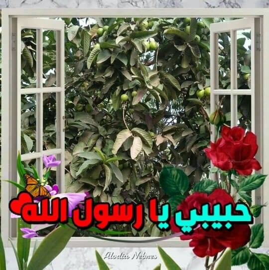 مجدي الجلاد: الناصرية أسست الدولة العميقة وقمعت وسجنت، وحمدين صباحي يرد ...
