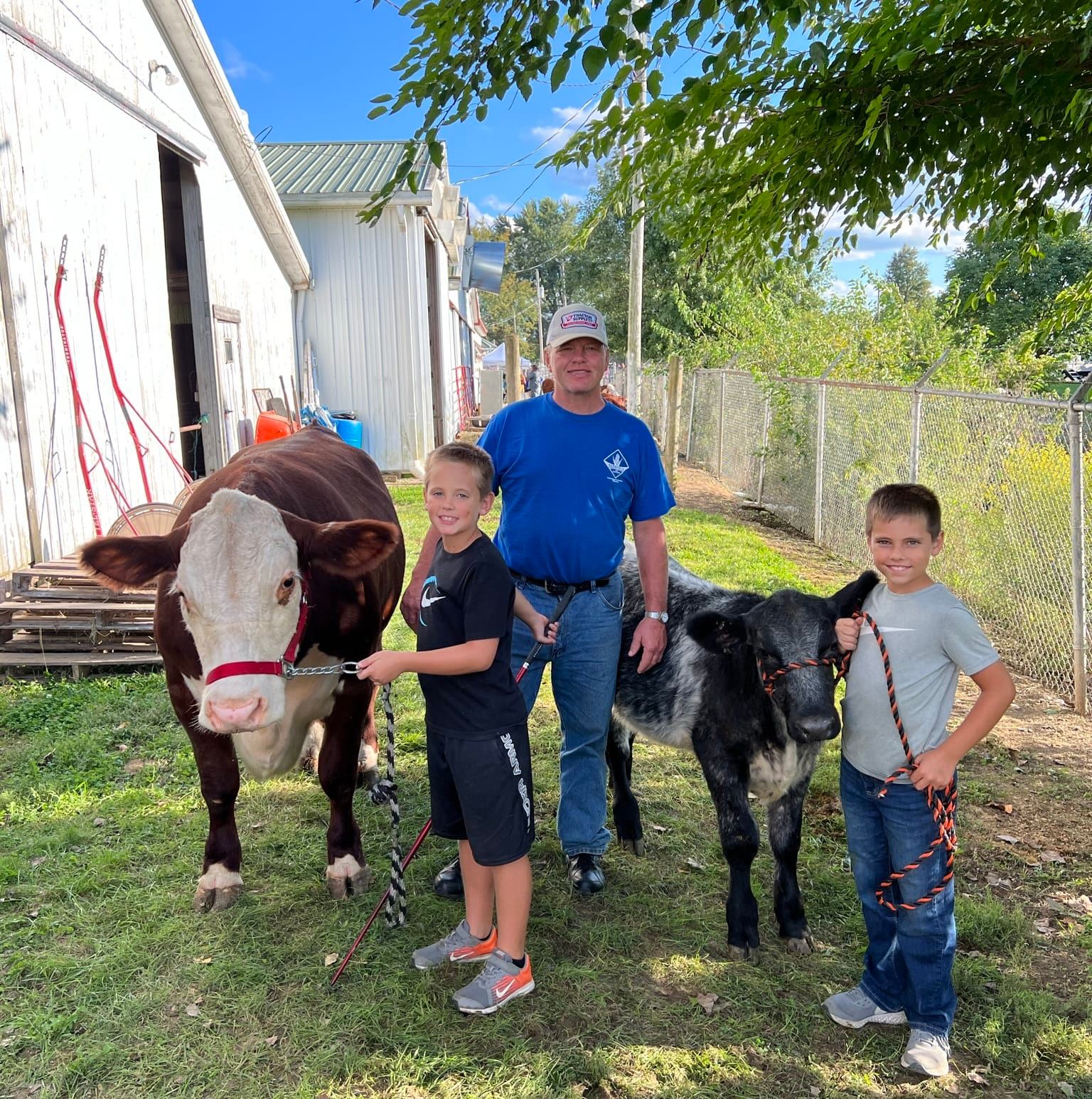 THE SIMMENTAL CONNECTION | Bull calves sired by Moneymaker, Genoa, On ...