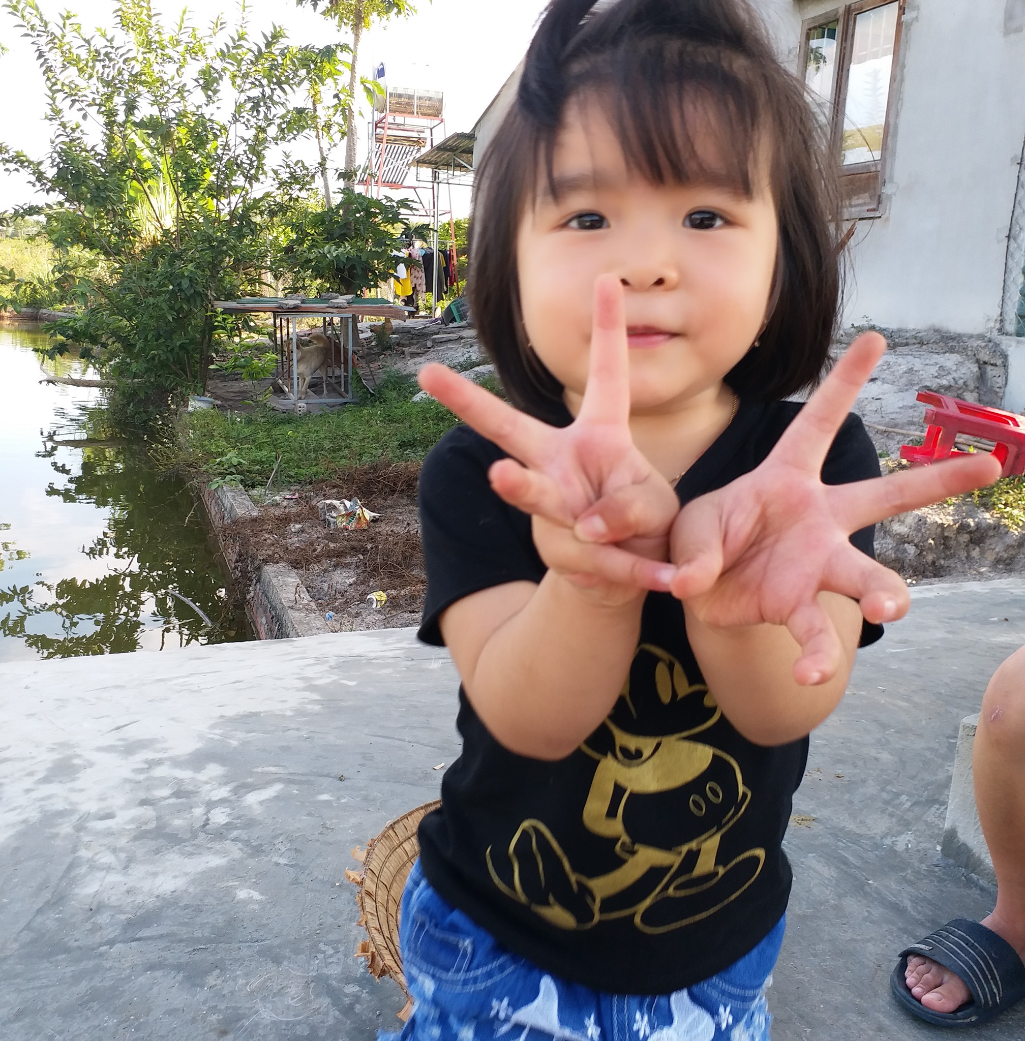 Tâm sự của người nông dân trồng cf sâù riêng, có những điều muốn chia ...
