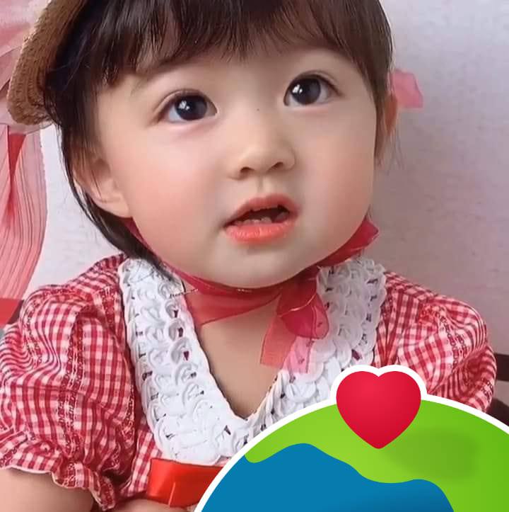 Chuyên lan phi điệp bóc... - Chuyên lan phi điệp bóc rừng