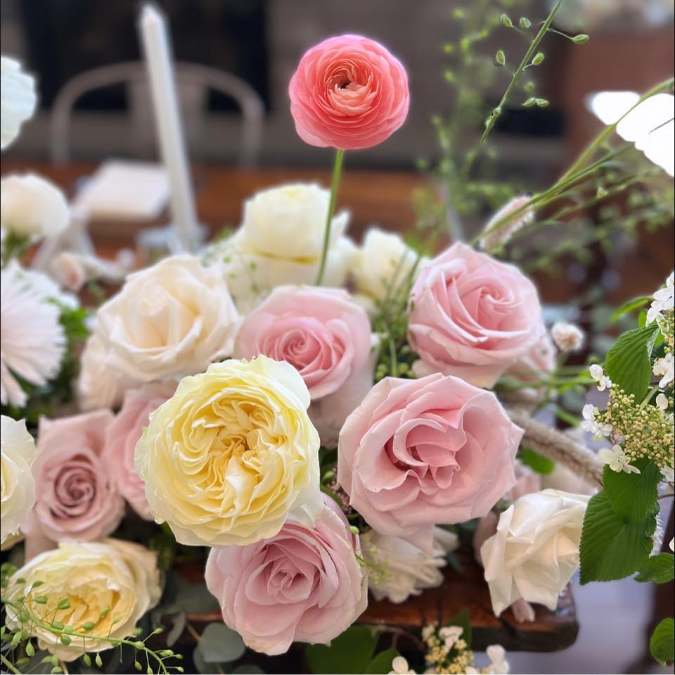 Wood and Rose
