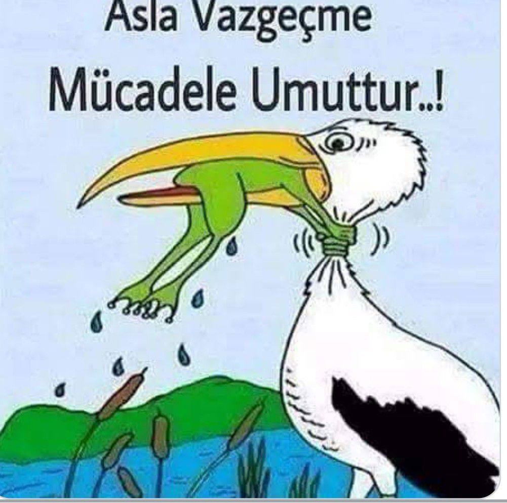 hadi-z-k-melih-g-k-ek-e-ate-p-sk-rd-ne-i-in-var-almanya-da
