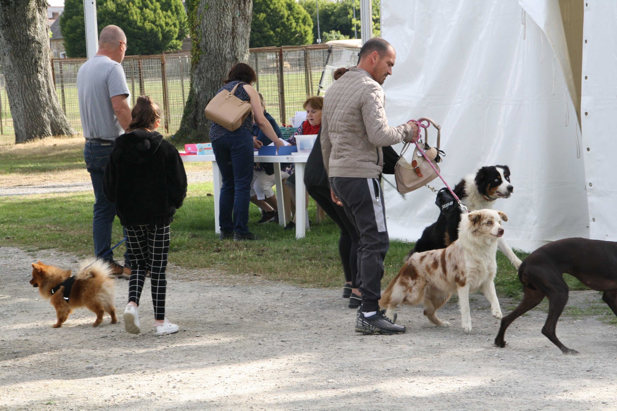 Nantes Les Animaux Font Leur Show 2022