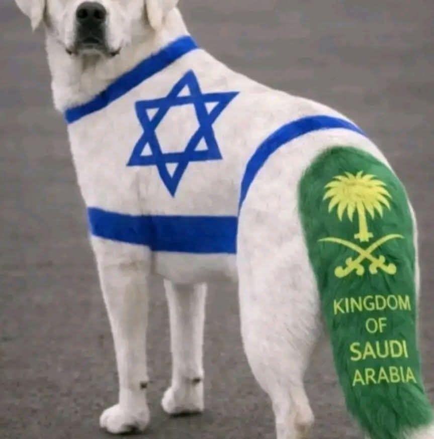 احمد هوبي