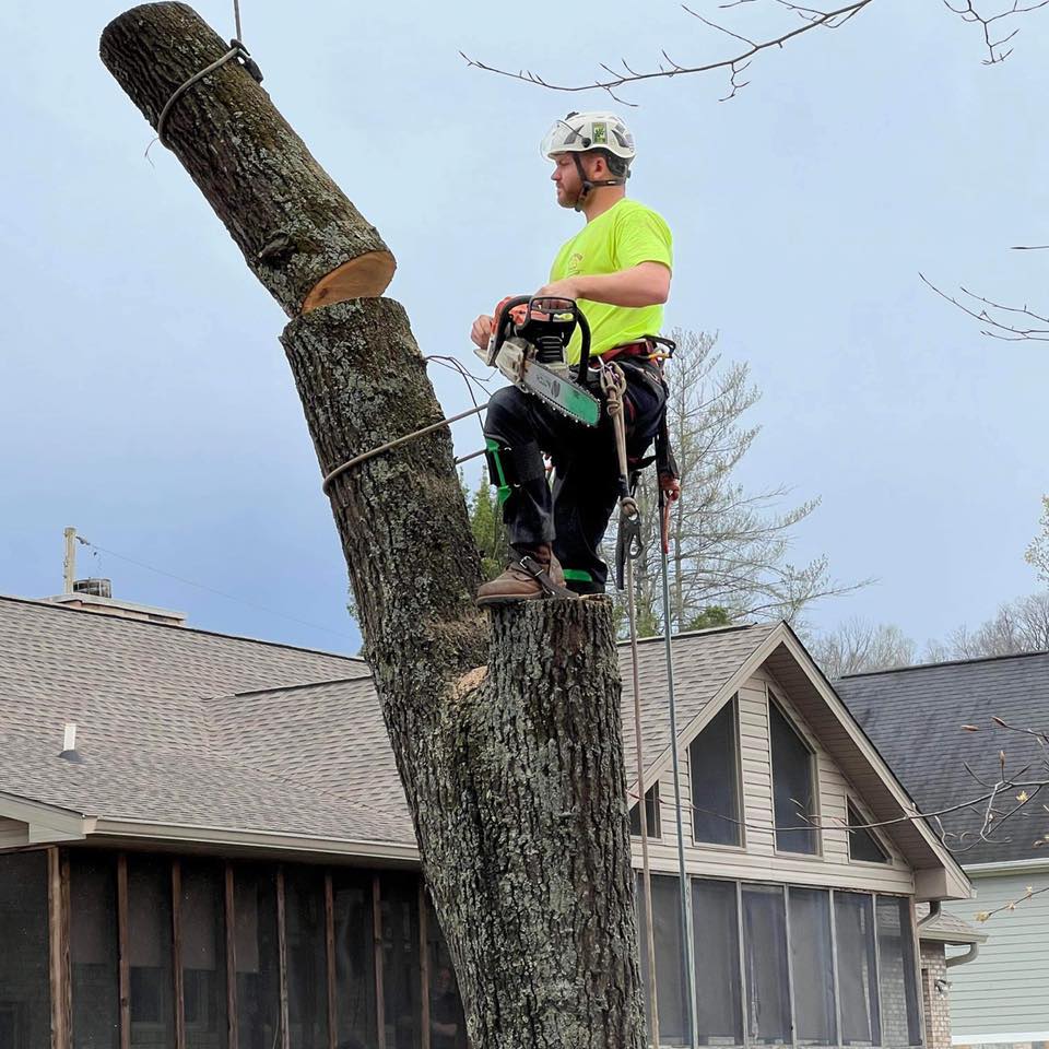 Top Notch Tree Care | Pikeville KY