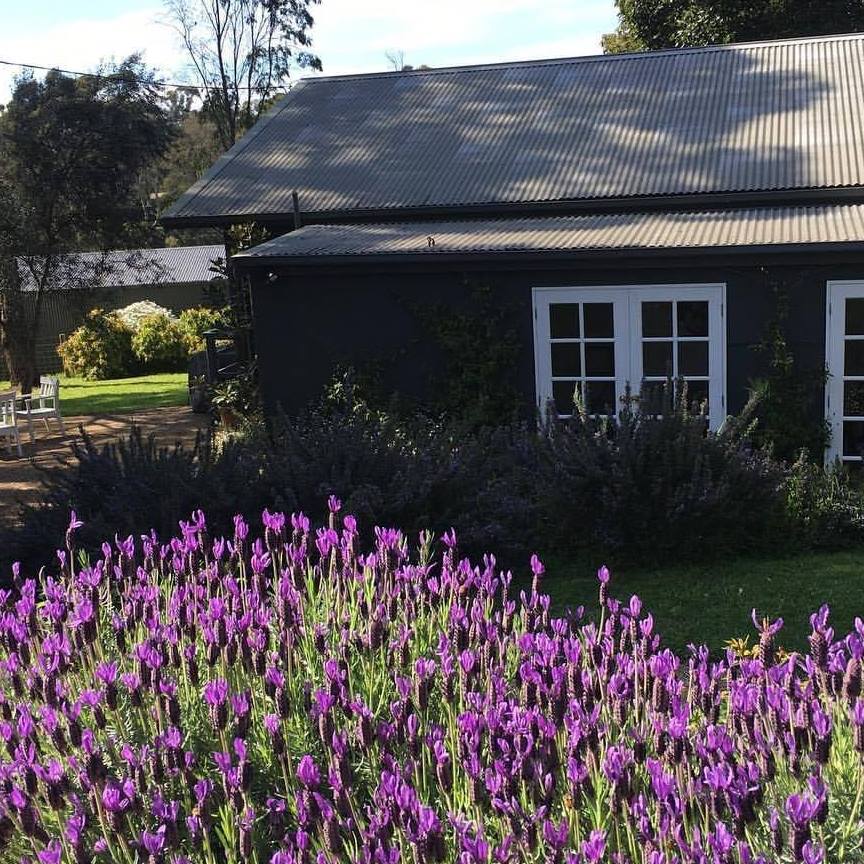 Merricks Cottage | Merricks VIC