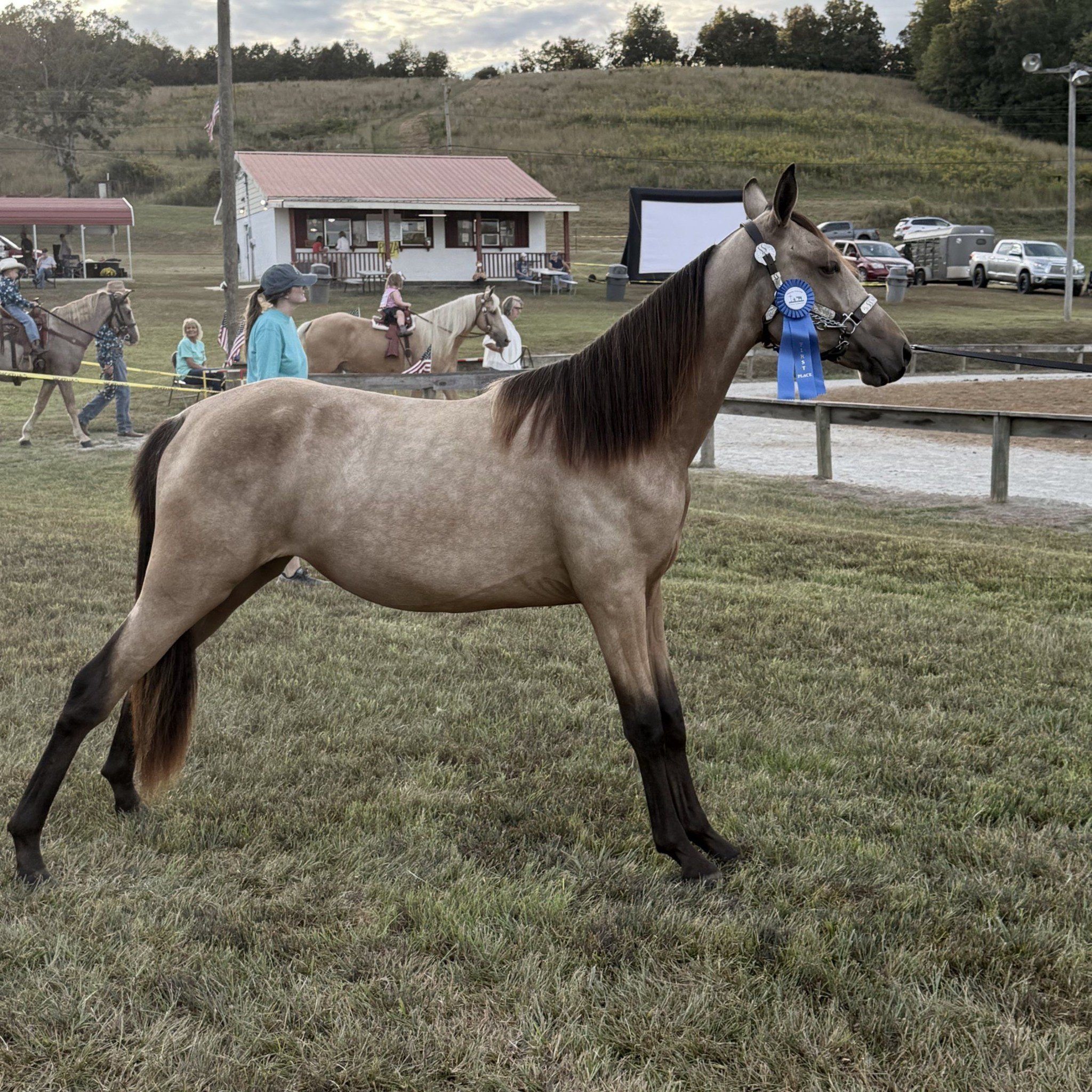 Rebels Run Ranch