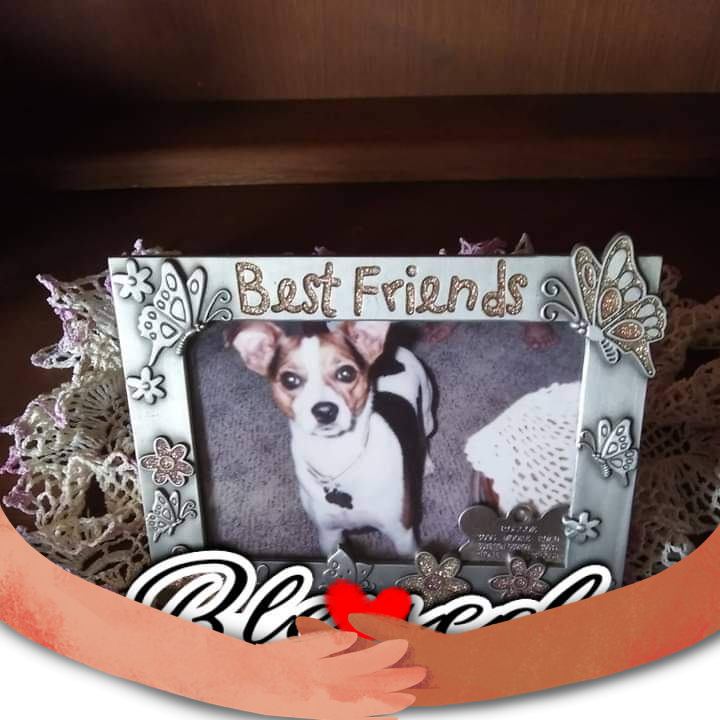 Pat Fowler (@pat.fowler.773776) • Facebook, Connect with friends