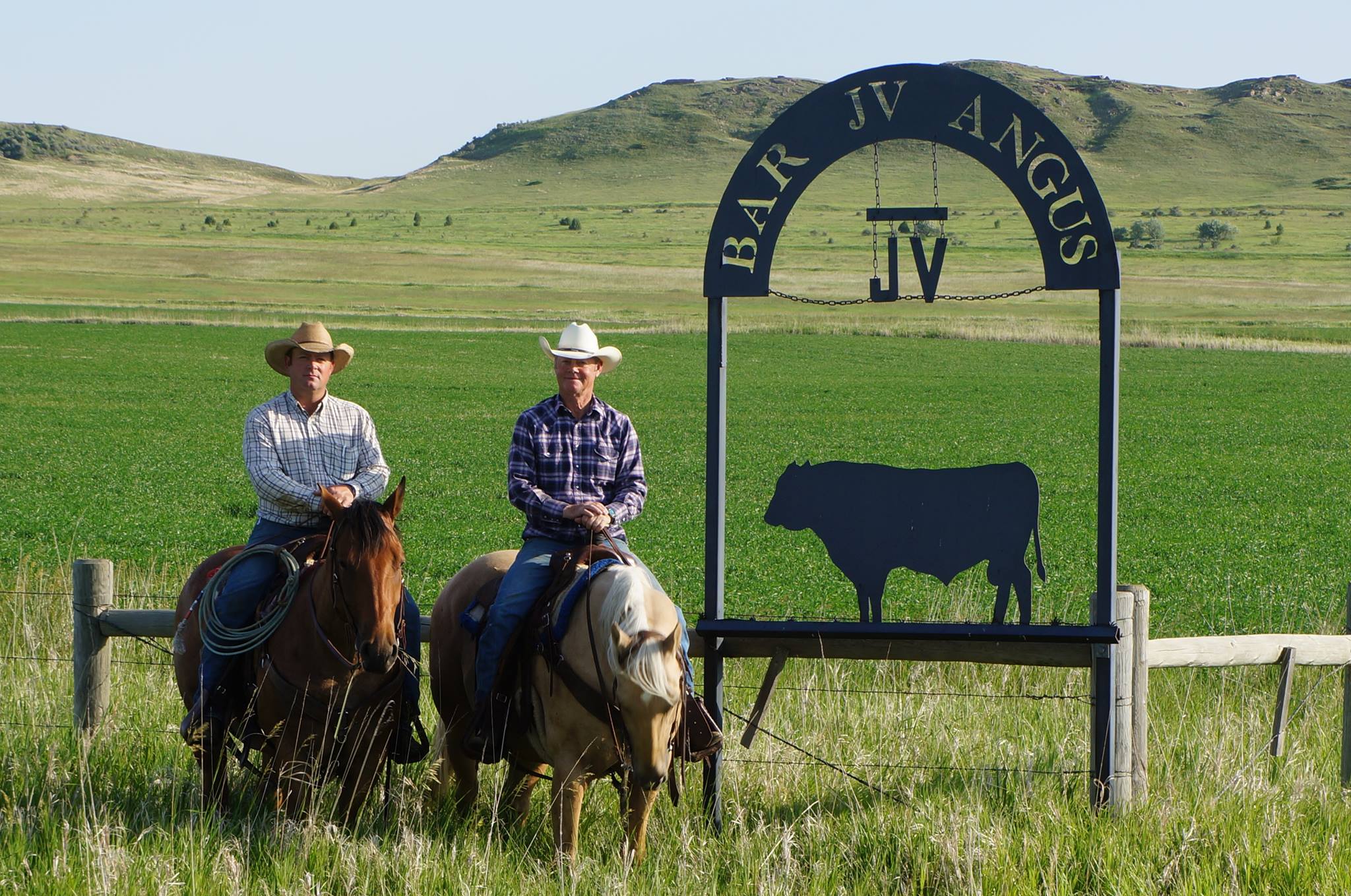 Bar JV Angus | Fairview MT