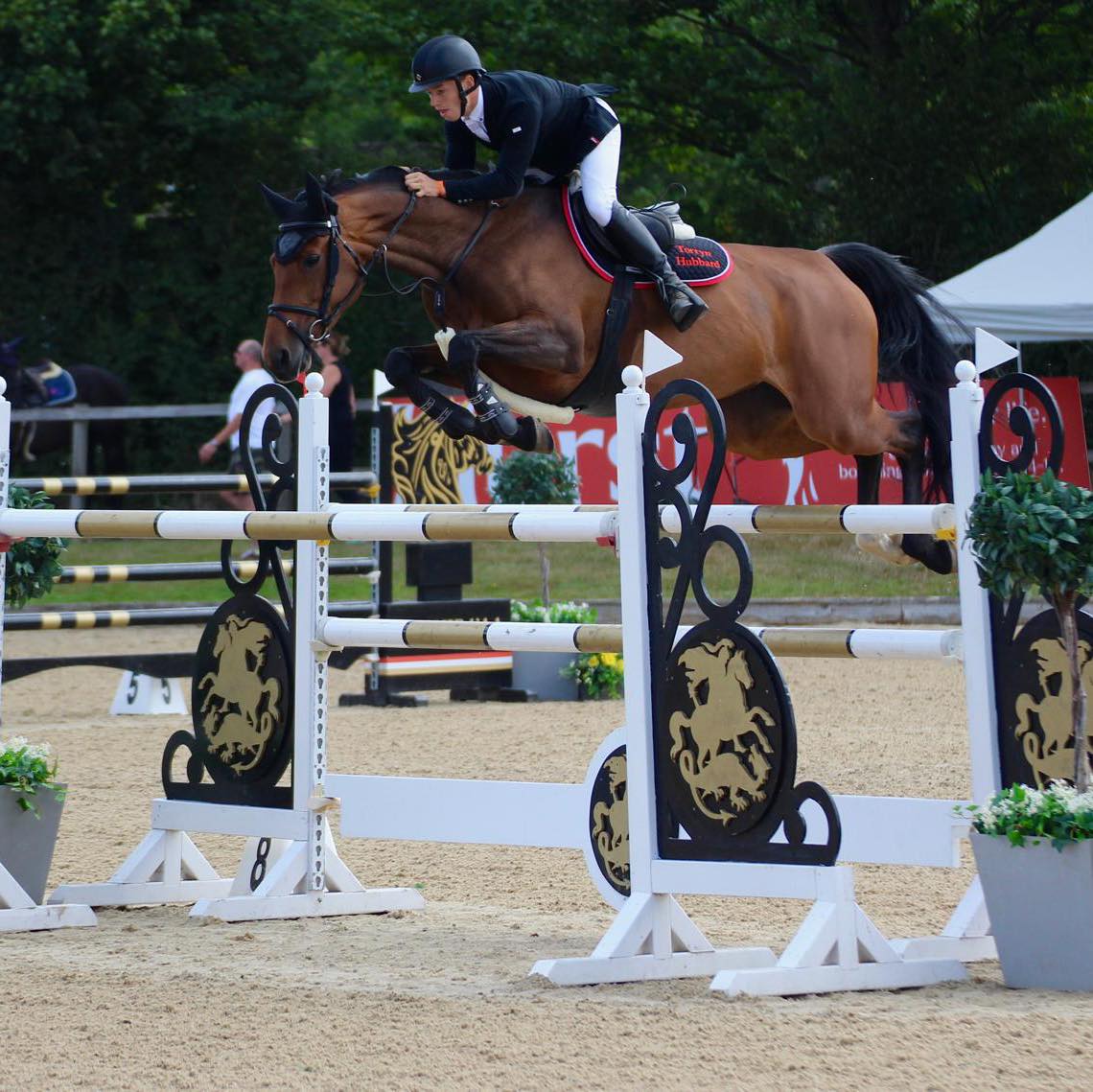 Torryn Hubbard BSJA showjumper- Freelance rider