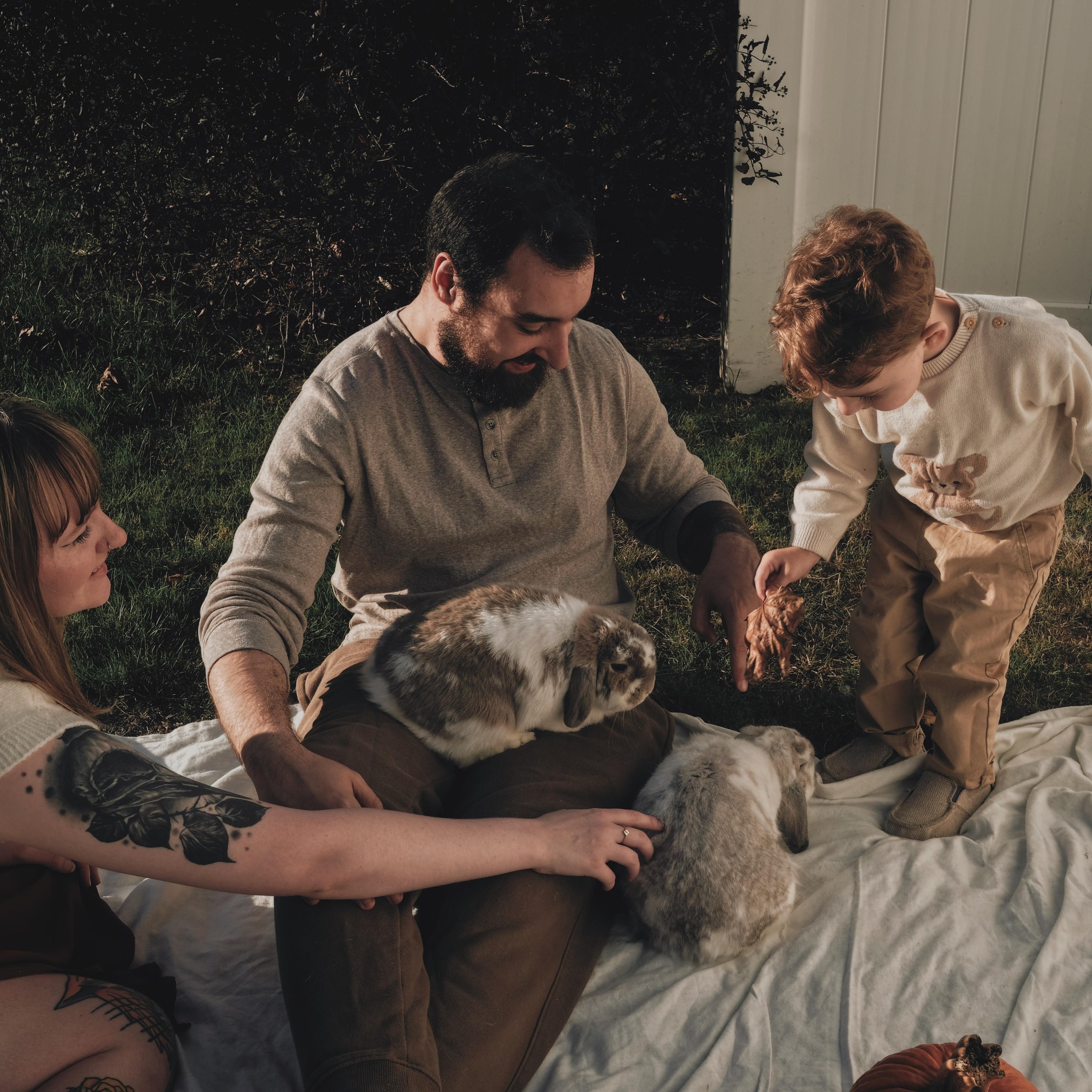 Pet Rabbit Lovers | My sweet girl has been diagnosed with cancer | Facebook