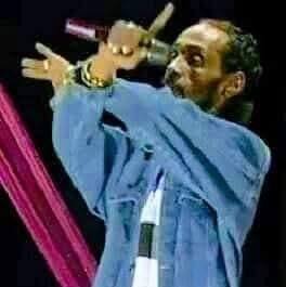mahmoud-bellaouar-on-reels