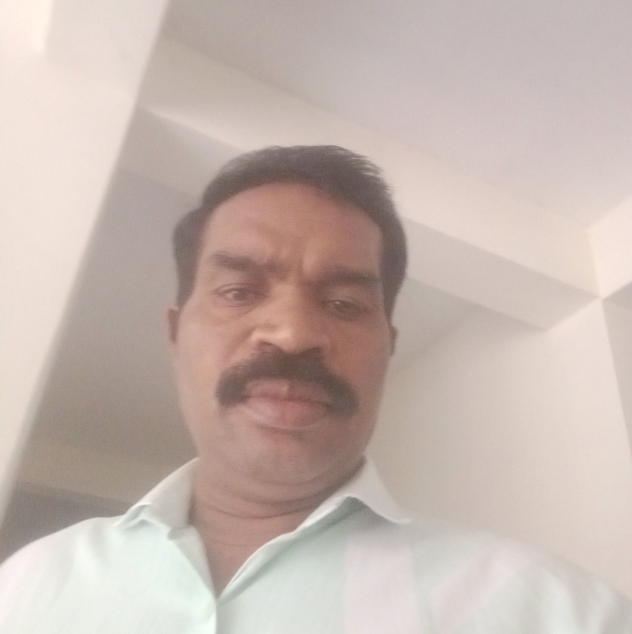Bvs Reddy