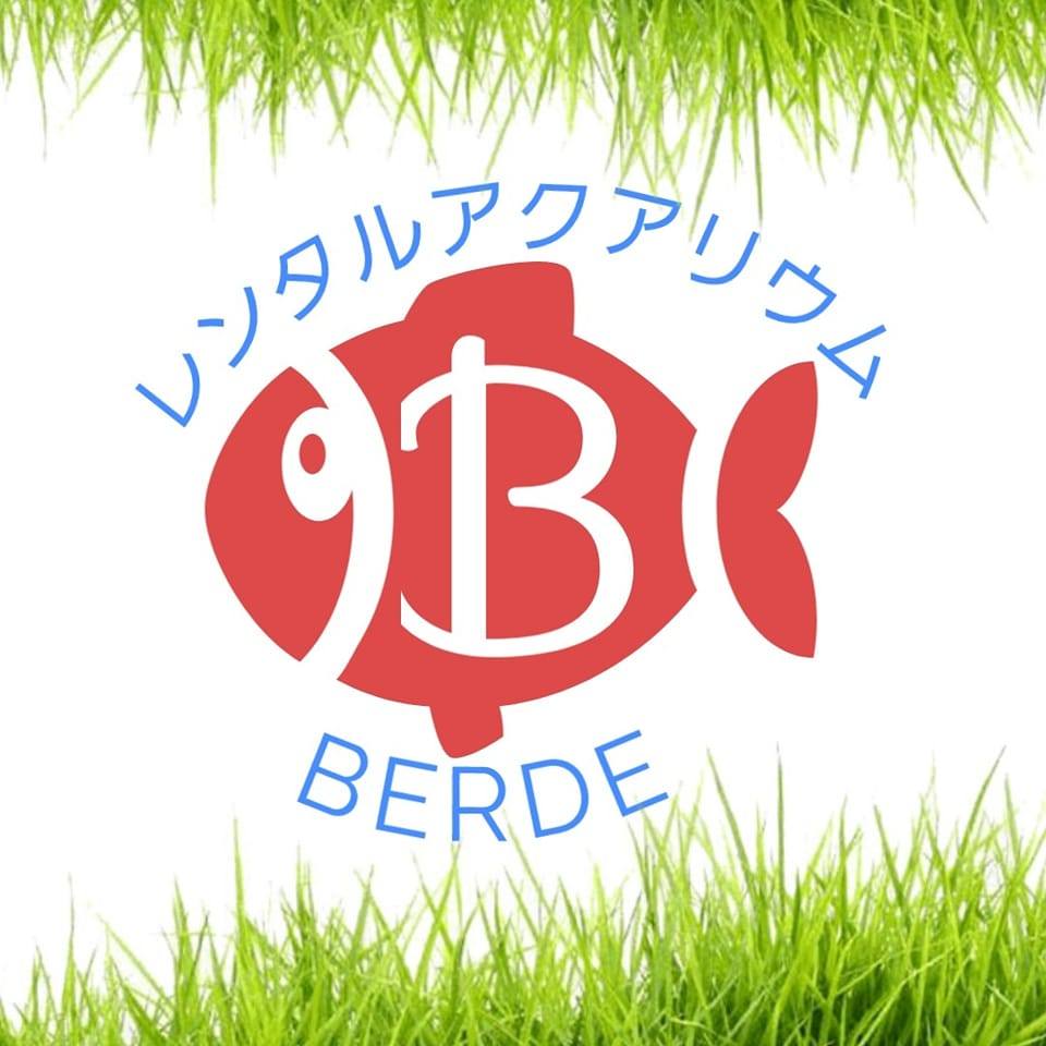 レンタルアクアリウムberde | Uwajima-shi Ehime