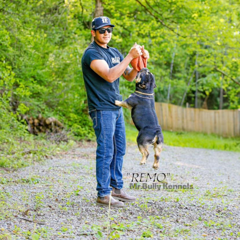 Living in Morristown TN | I'm looking for someone to do some drywall ...