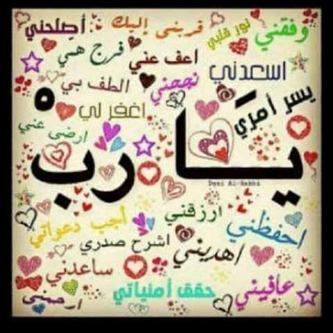 Alaa Alwaked on Reels