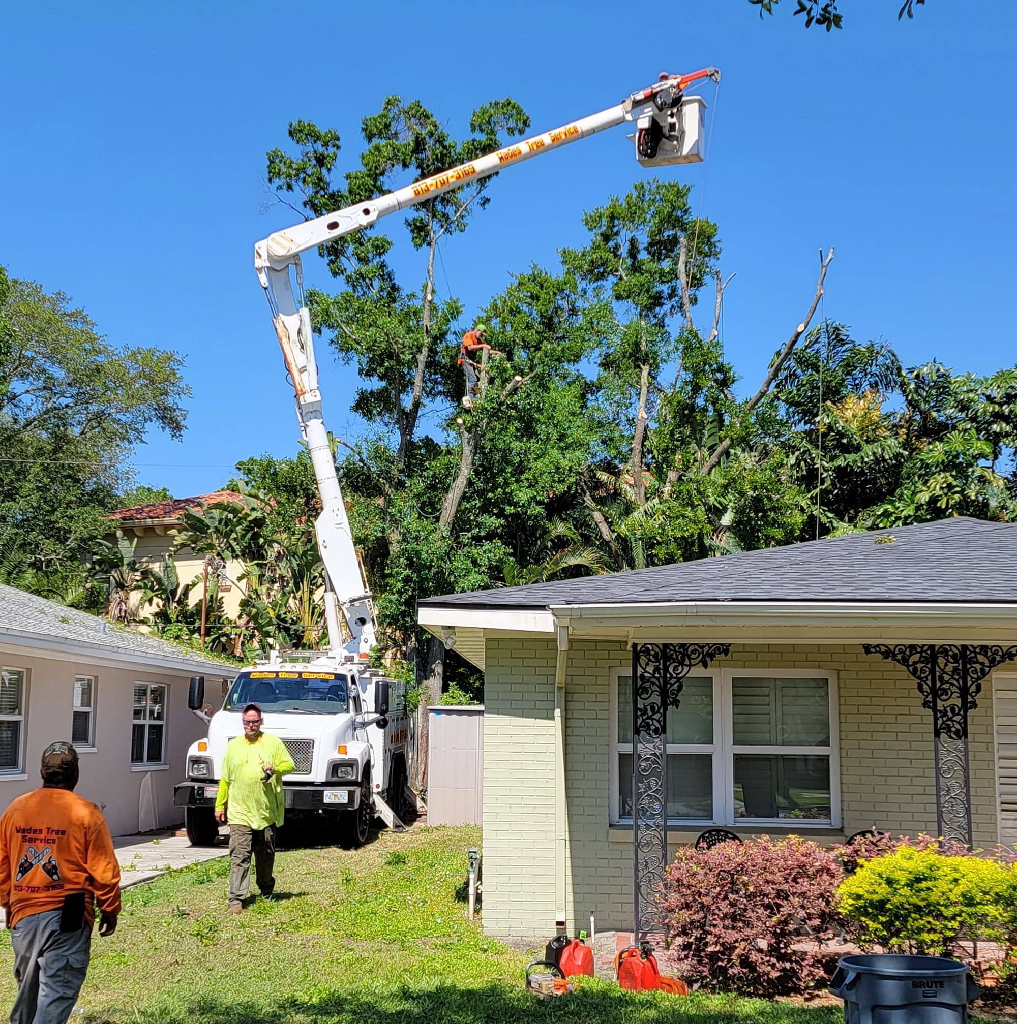 Wade’s tree service | Plant City FL