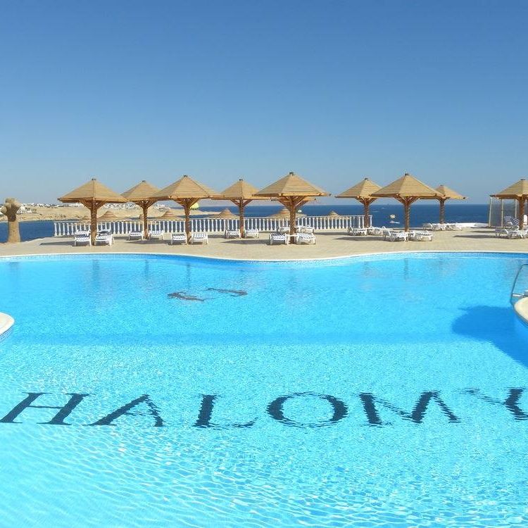 هالومى شرم | Sharm el-Sheikh