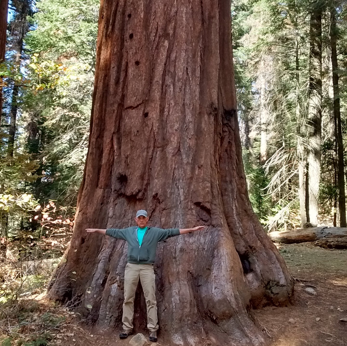 Log Cabin Builders | Okay I know I'm going to get a bunch of different ...