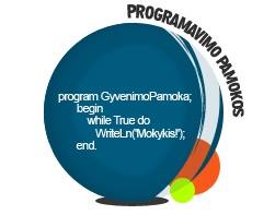 Programavimo Video Pamokos