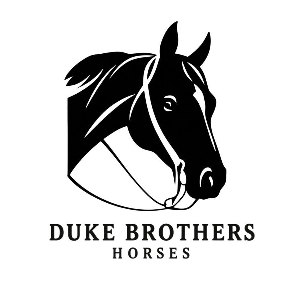Duke Brothers Horses added a new photo. - Duke Brothers Horses