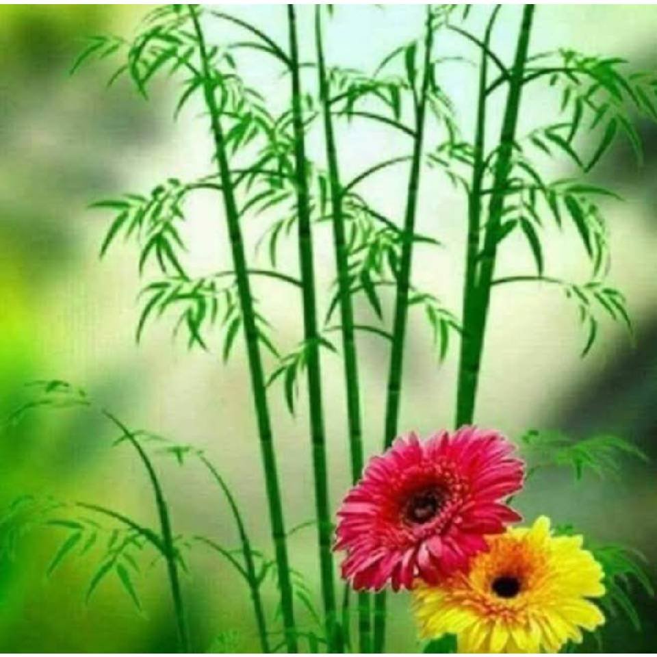 Bhorosa rakh bhai Time aesa badlega ki sab dekhte reh jayenge # ...