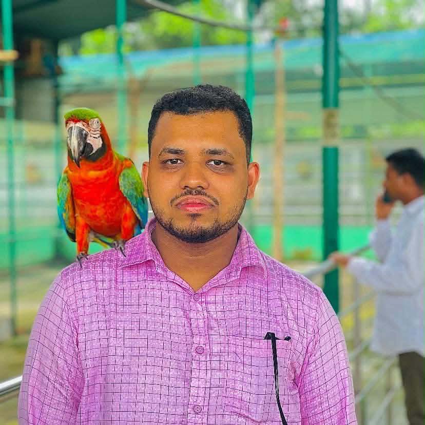 Md Saifullah