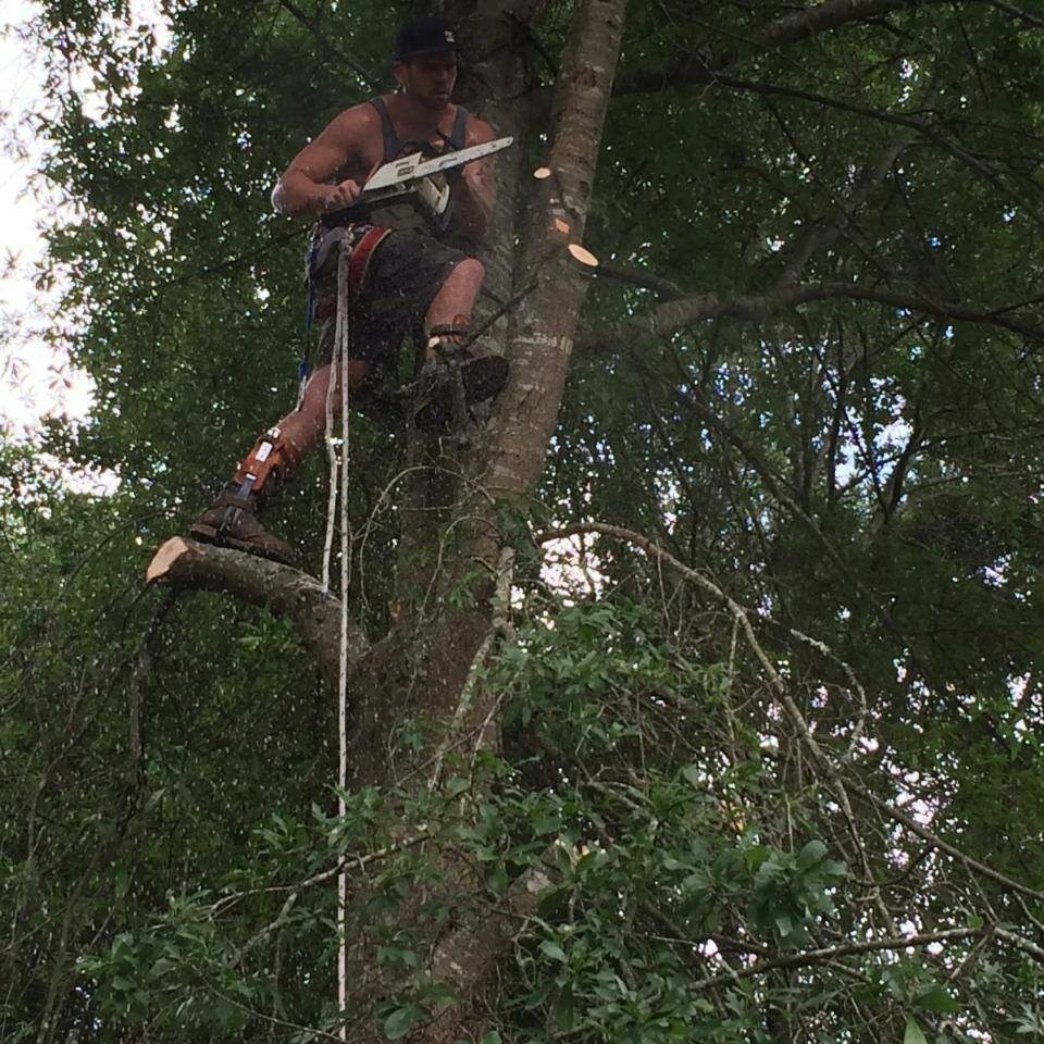 Allen's tree stump and landscaping | Wilmington NC