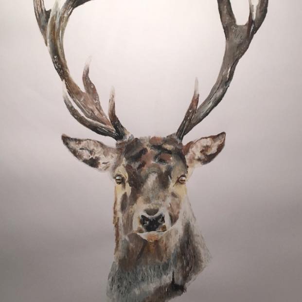 R.Fitzpatrick Art