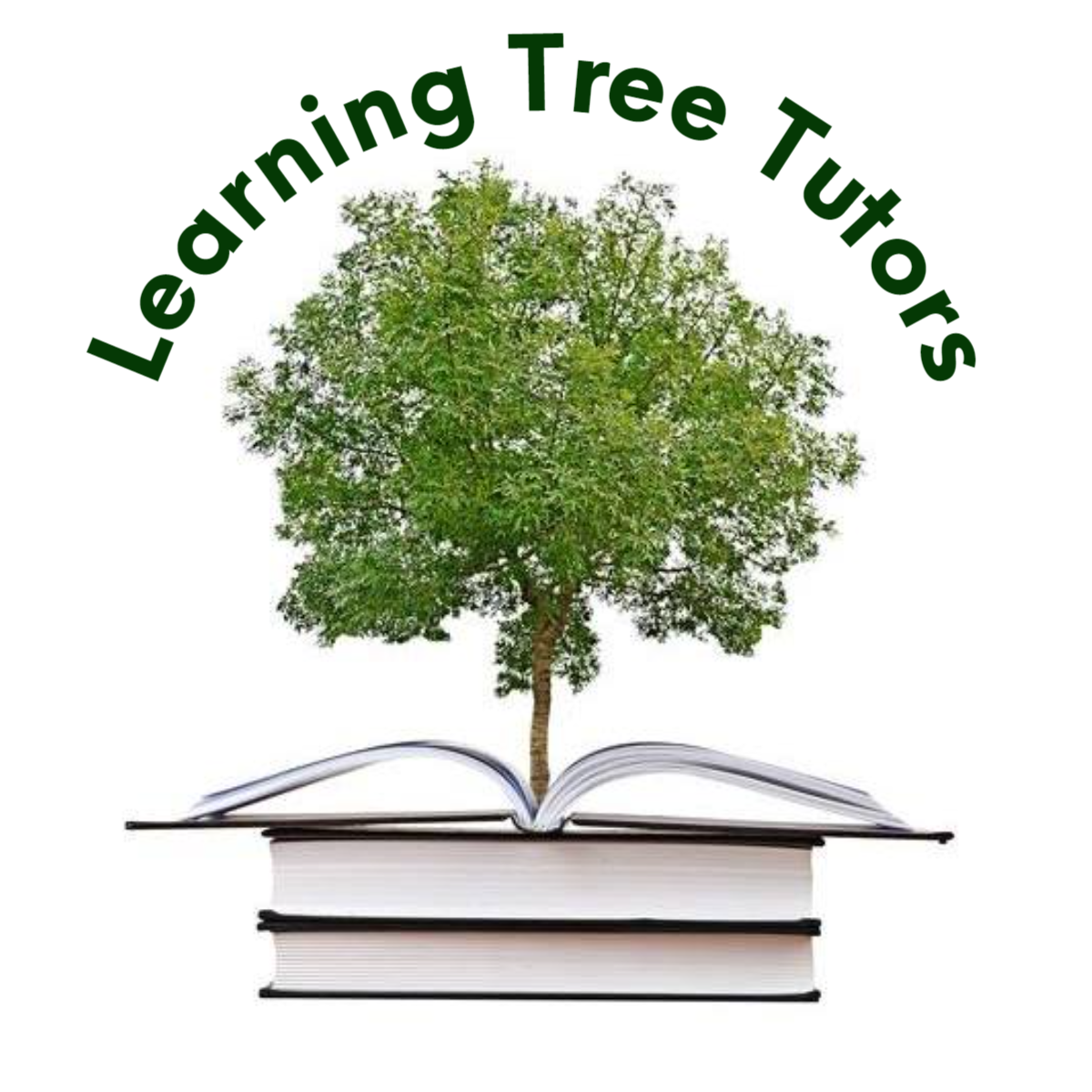Learning Tree Tutors | Dallas TX