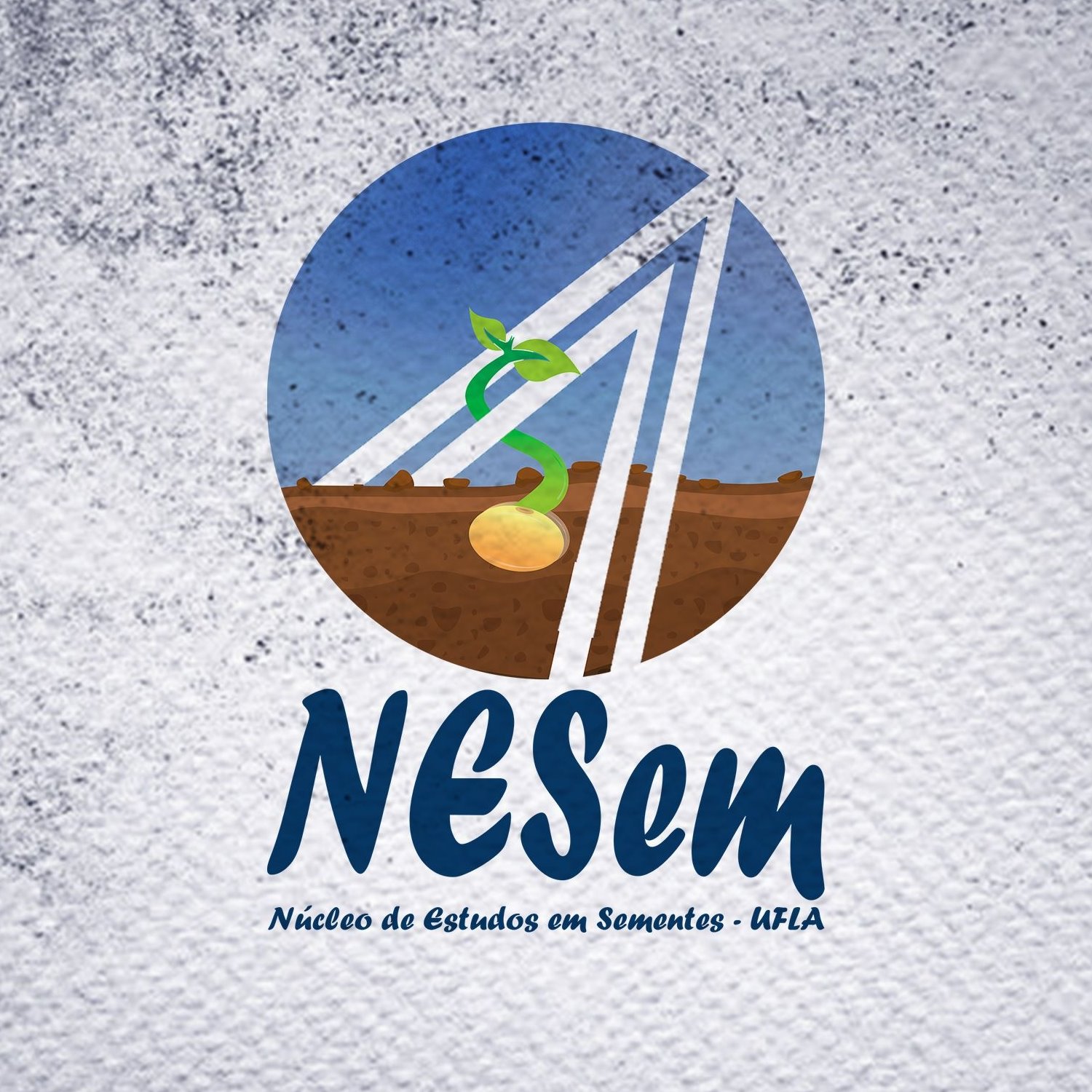 Núcleo de Estudos em Sementes - NESem | Lavras MG