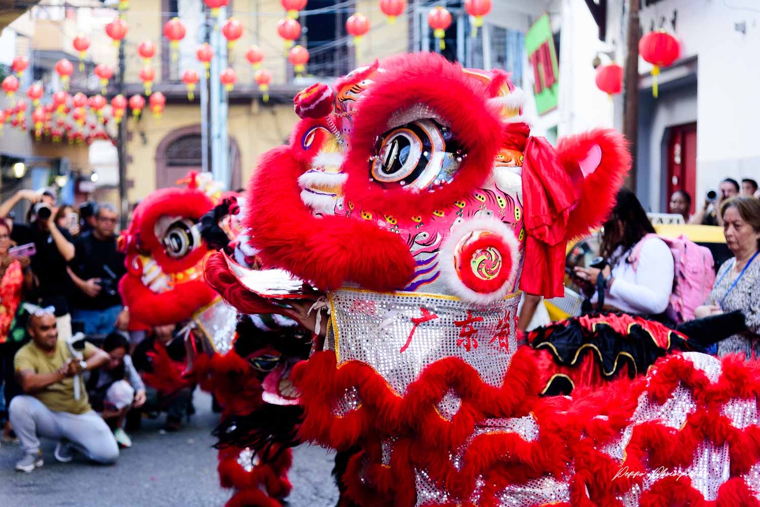 Leones Fayen | Panama City