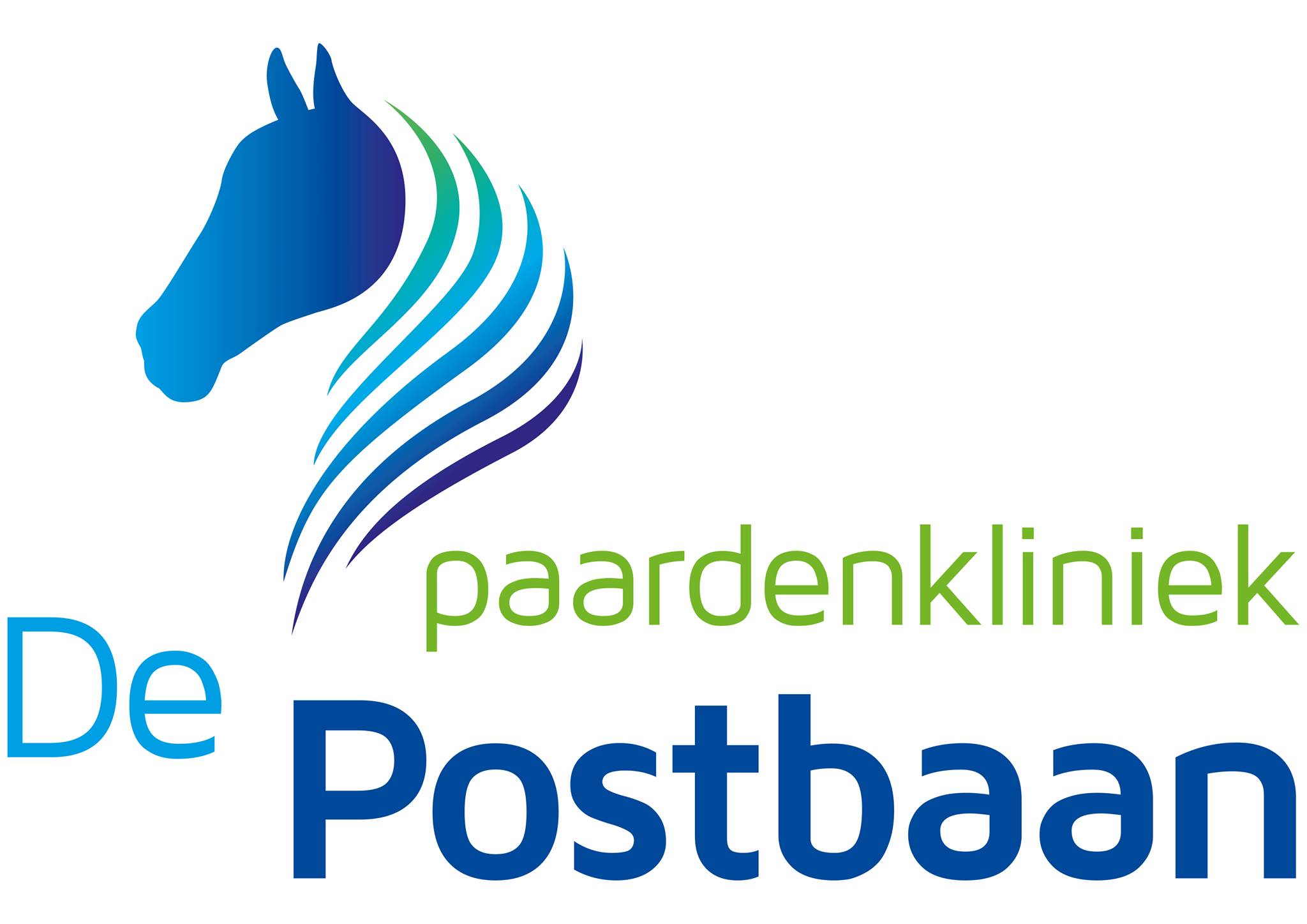 Paardenkliniek de Postbaan | Rucphen