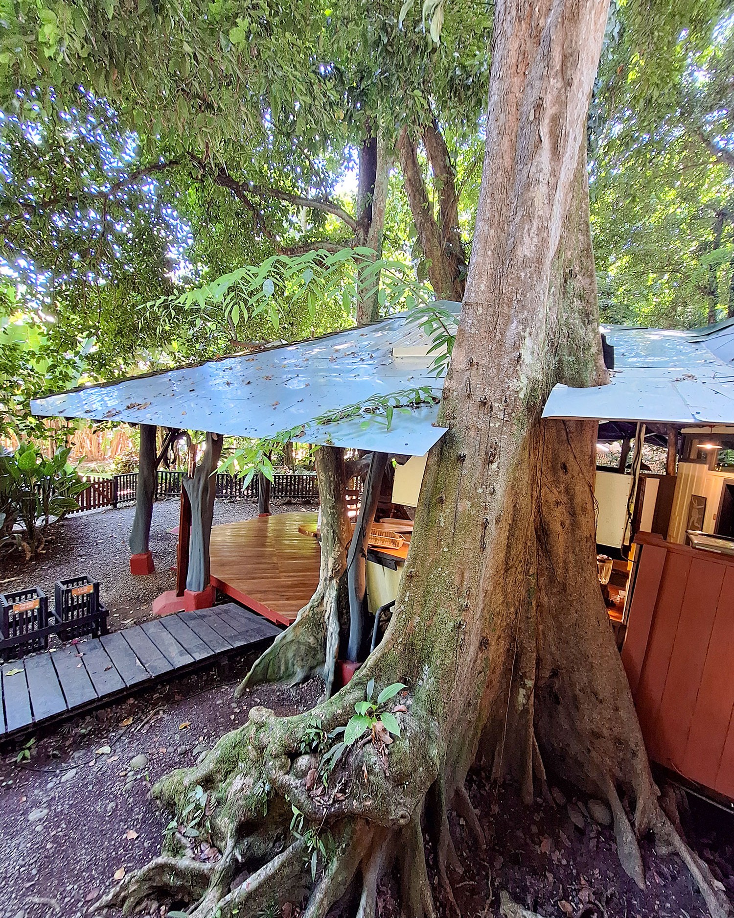 Tree House Lodge | Puerto Viejo