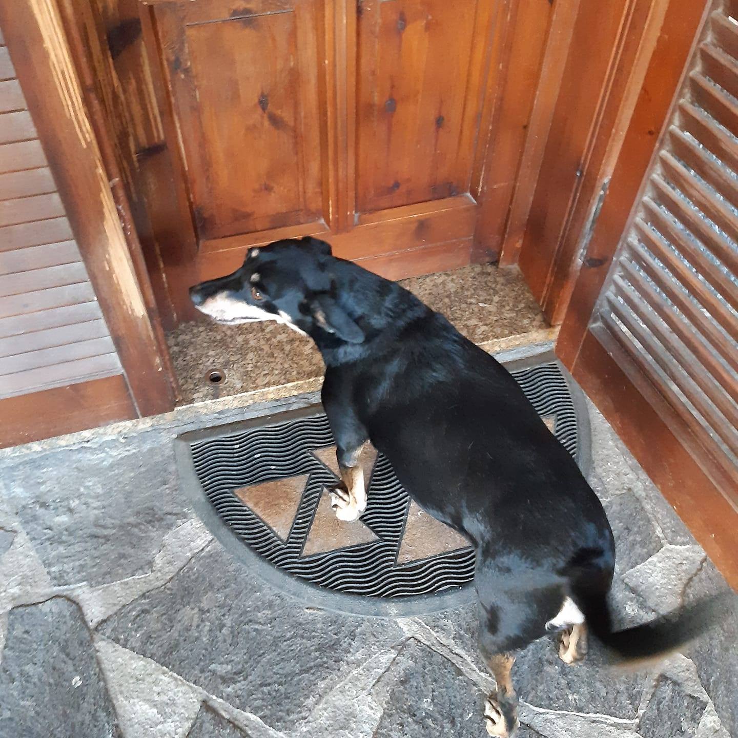 fotomontaggi amatoriali | Siete bravissimi e vi chiedo un ricordo di ...