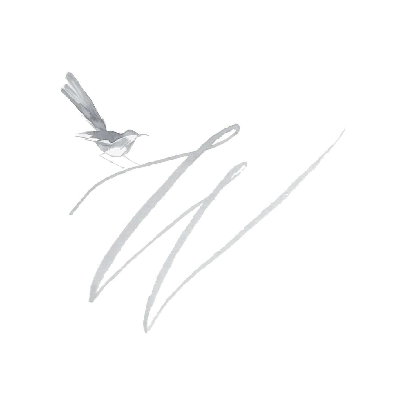 Scripting Bird Calligraphy